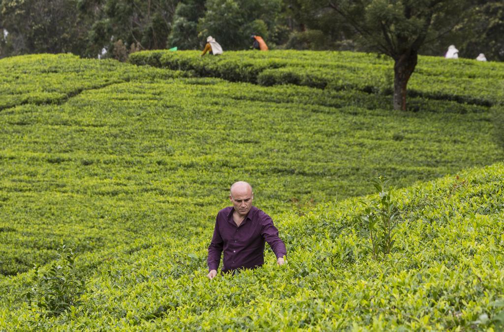 Hill Rise Luxury Villa & Stables By Edwards Collection Nuwara Eliya Exteriör bild
