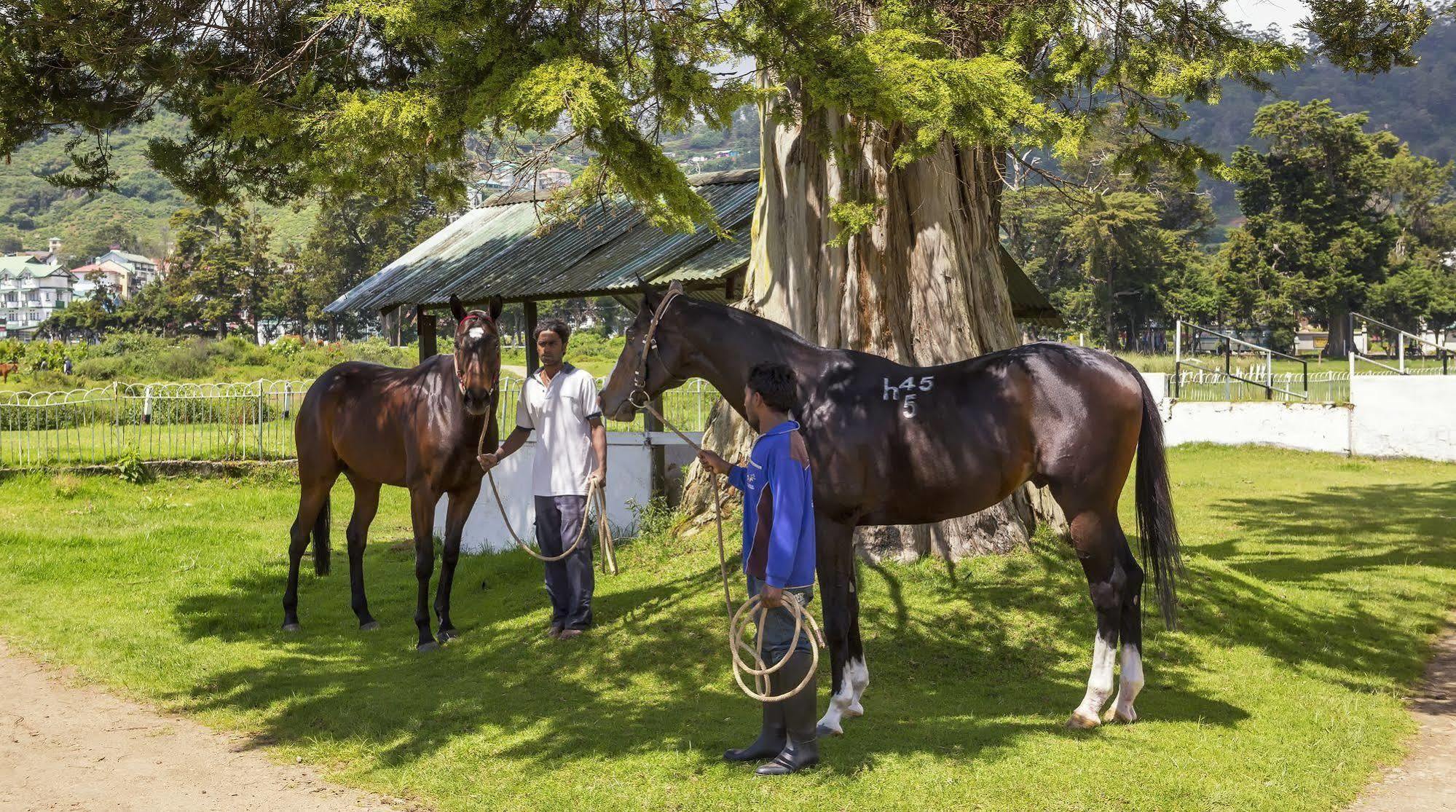Hill Rise Luxury Villa & Stables By Edwards Collection Nuwara Eliya Exteriör bild